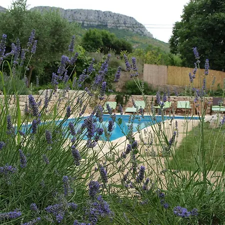 Pool Mansion Salonae Villa