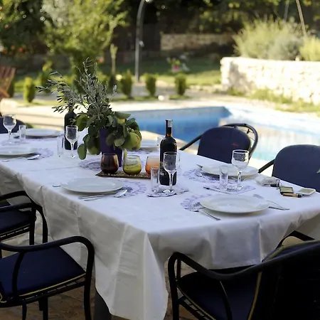Pool Mansion Salonae Villa Solin